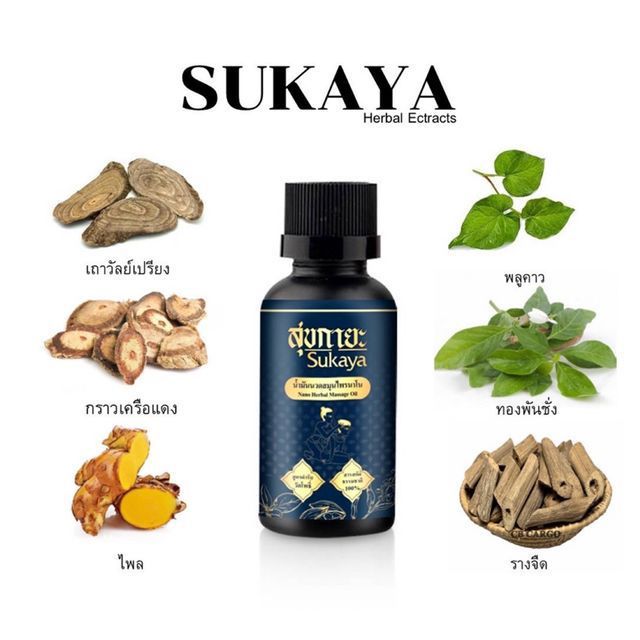 สุขกายะ น้ำมันนวดสมุนไพร น้ำมันนวดตัว กลิ่นหอมเย็นสบาย ขนาด 30 มล.จำนวน 5 ขวด โดย TV Direct